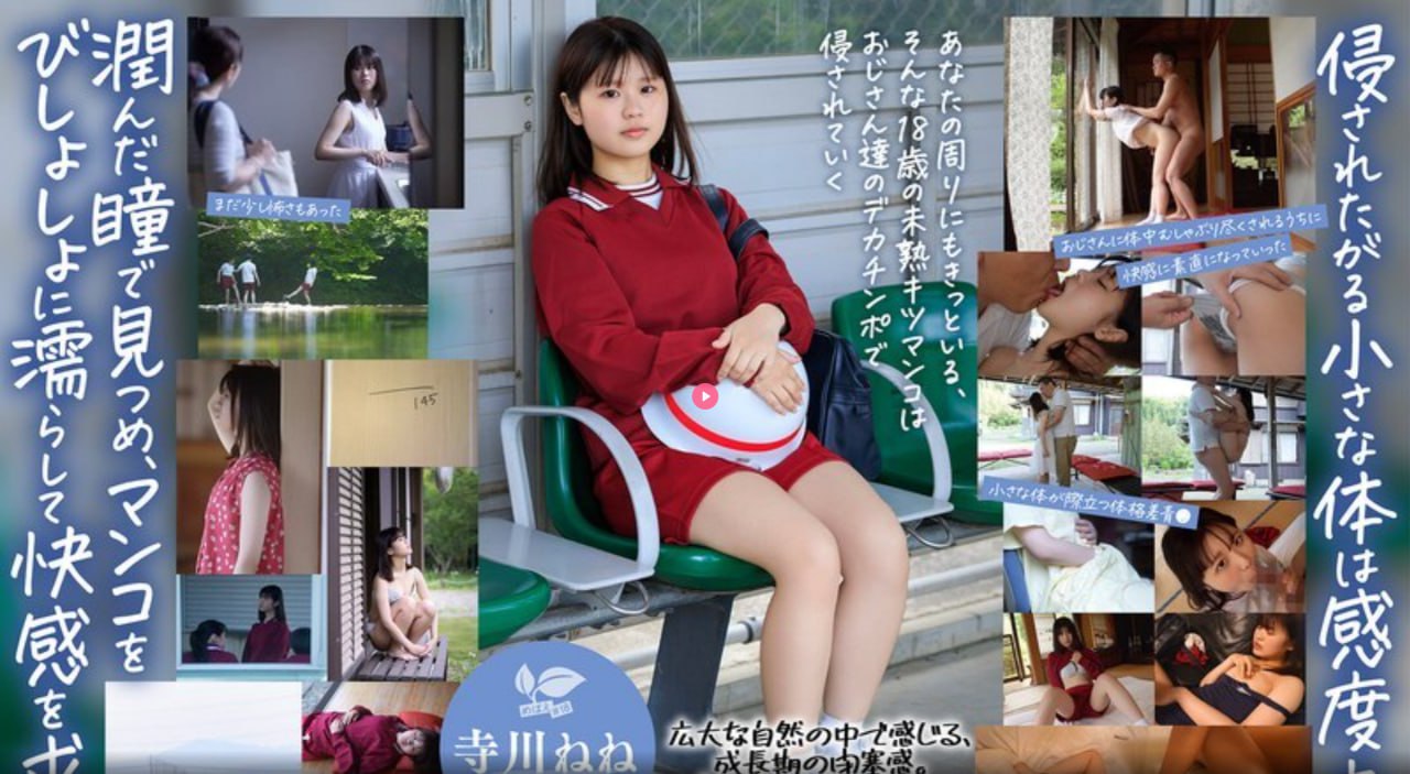 调教师被m反调教,メイリン モデルコレクション メ,观看免费无删减完整版